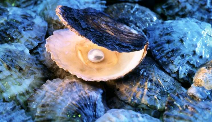 Biwa Pearls / An Interesting History - Adorned by Ruth