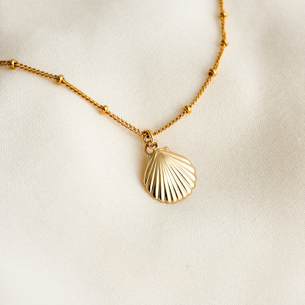 Gold necklace with a shell pendant on a light beige background